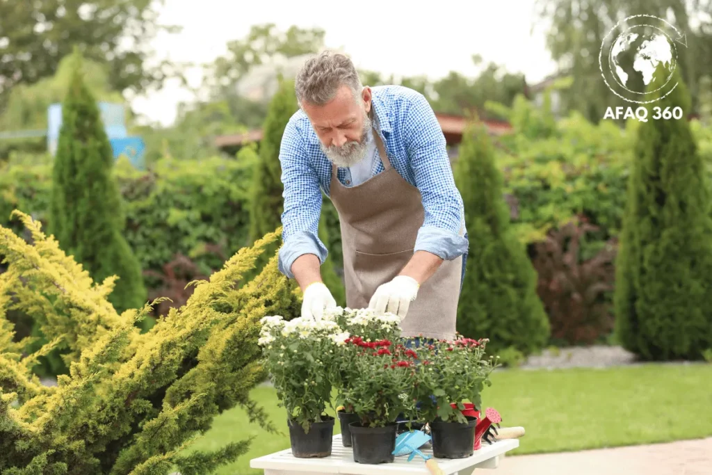 الشيخوخة الصحية