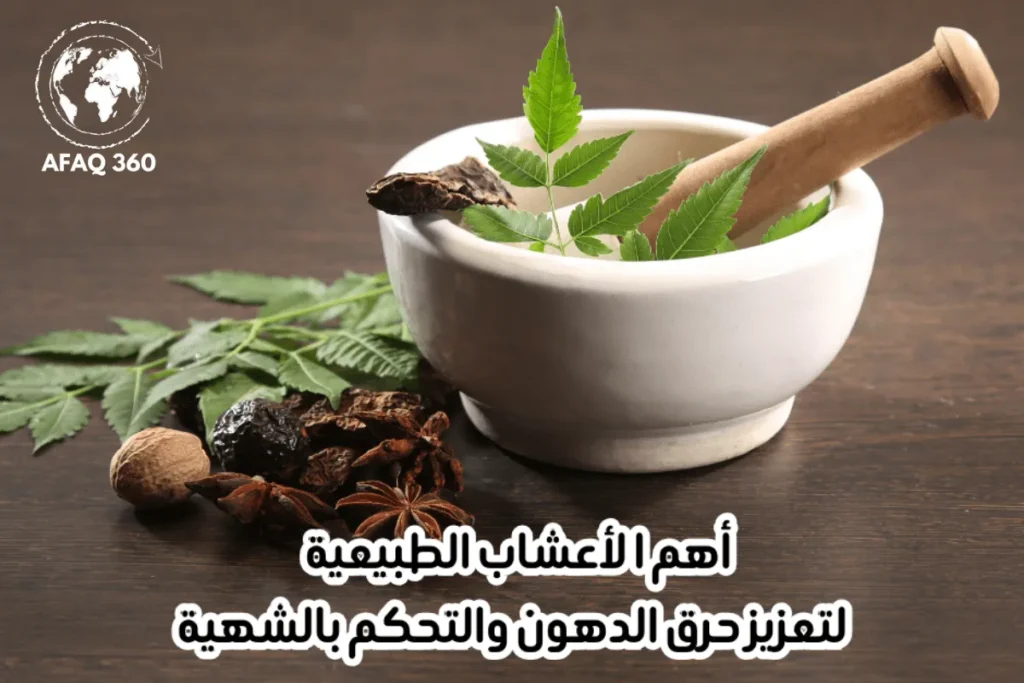 اعشاب التخسيس الفعالة 