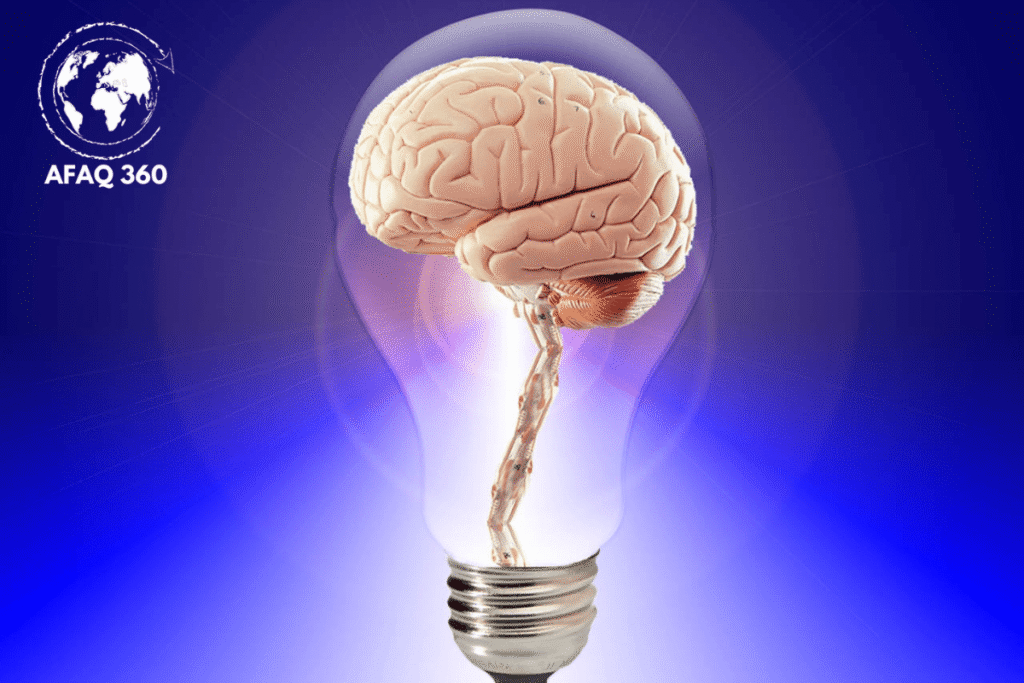 اغذية الدماغ والذاكرة