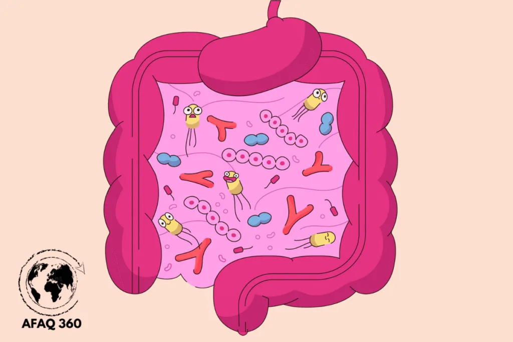 القولون العصبي: الدليل الشامل 