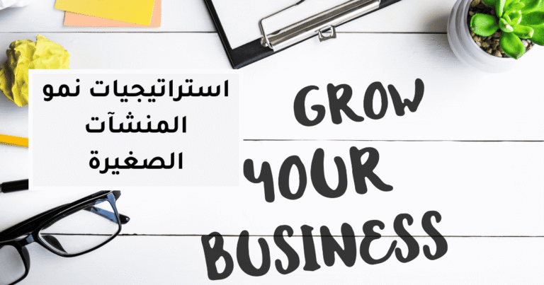 استراتيجيات نمو المنشآت الصغيرة: