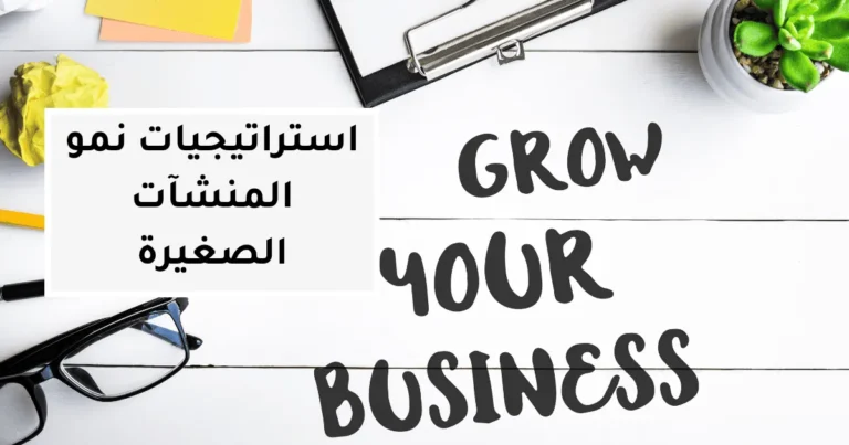 استراتيجيات نمو المنشآت الصغيرة: