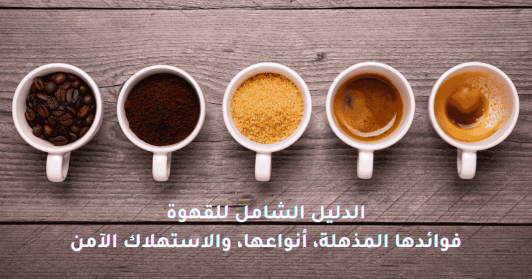 فوائد القهوة للصحة والدماغ: دليل شامل للاستهلاك الآمن والأنواع