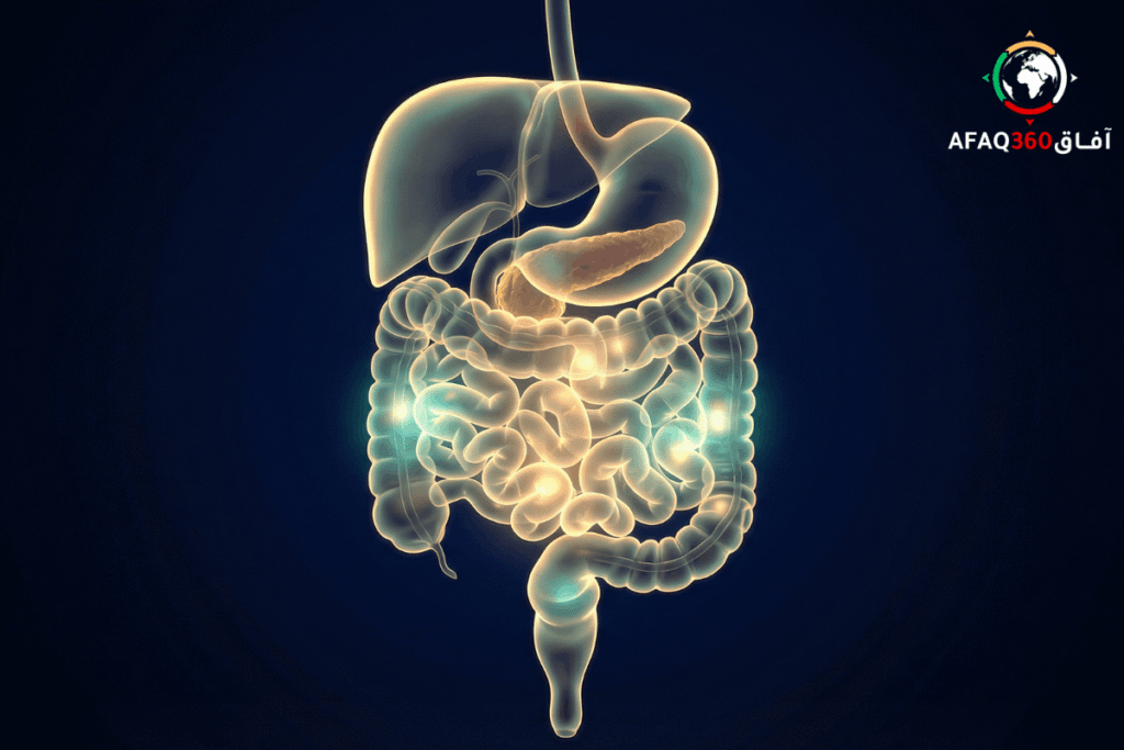 دليل القولون العصبي ومشاكل الهضم في رمضان دليل القولون العصبي ومشاكل الهضم في رمضان