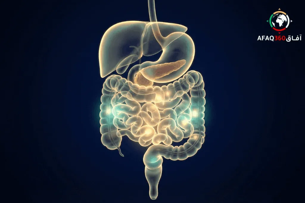 دليل القولون العصبي ومشاكل الهضم في رمضان